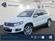 VW Tiguan, 2.0 TDI Cup PARKLENK, Jahr 2014 - Fürstenwalde (Spree)