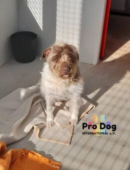 Esperanca, auf der Suche nach Glück - Talkau