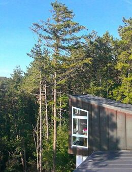 Naturnah: Traumhaus in Aussichtslage - Mosbach