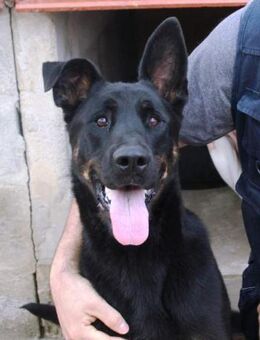 Maira möchte viele Abenteuer erleben - Laatzen