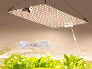 Grow Led 220 Watt 2x 110 Watt Boards Neu Samsung Chips - Dietzenbach