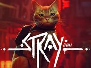 🎮Stray Original PC Spiel des Jahres - Köln