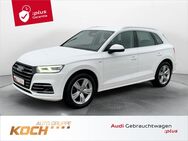 Audi Q5, 55 TFSI e q, Jahr 2020 - Insingen