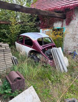Vw Käfer Karosse - Drebkau