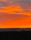 Gib jedem Tag eine neue Chance in 01099