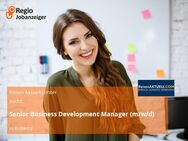 Senior Business Development Manager (m/w/d) - Koblenz