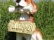 Hund Hausdackel Figur Dekofigur Aufstellfigur Fan Club Türschild - Enger (Widukindstadt)