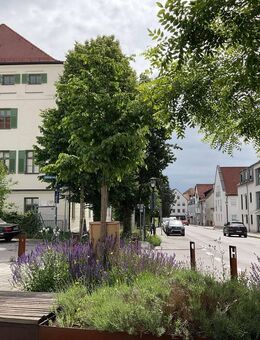 Schöne, ruhige Stadtwohnung in bester Lage – In 3 Gehminuten zum Stadtplatz - Pfaffenhofen (Ilm)
