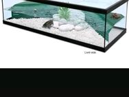 Aquarium - Gransee
