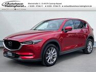Mazda CX-5, 2.5 Sports-Line e Hk, Jahr 2019 - Castrop-Rauxel