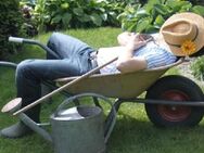 Aushilfe für Gartenarbeiten gesucht / Raum Torgau - Bad Düben - Trossin