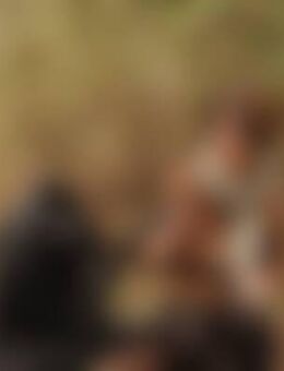 Car*** - Sigmaringen