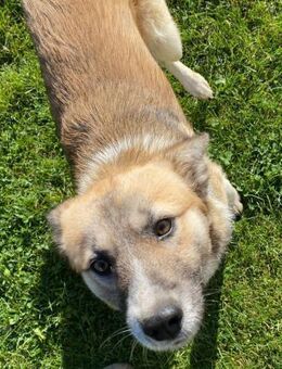 💙 FRITZI 💙 - Markkleeberg