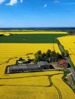 Hof in Alleinlage zu verkaufen - Blankenhagen