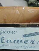 Pflanzentopf "Grow Flowers" mit Innenfolie 29 x 17,5 cm in 50858