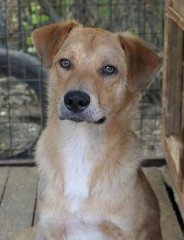 zauberhafter Eddy - Kallmünz