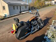 Harley-Davidson Sportster 1200T SuperLow - Waldeck (Hessen)