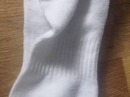 Socken und Unterwäsche getragen - Berlin - Berlin Mitte