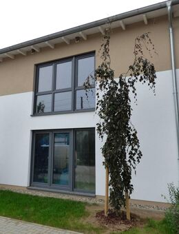 ERSTBEZUG / NEUBAU - Kühlungsborn