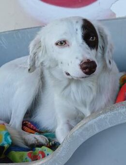 Moly - ein warmherziges Mädchen - Krefeld