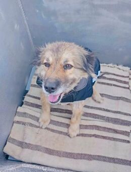 Muci sucht ihre Familie - Berlin