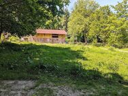 Einzigartiges Grundstück - 2,3 ha mit landwirtschaftlichem Gewerbe - Varel
