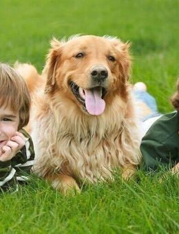 Kinderparadies - Ihr Zuhause - Nordkirchen