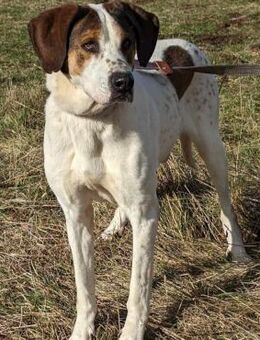 Henry - Weilmünster