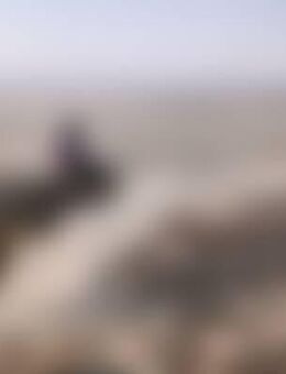 Kol*** - Schwalmstadt