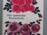 Bergengruen: Der spanische Rosenstock. 3 Erzählungen - Münster