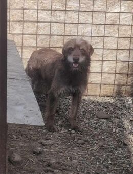 Kassandra möchte endlich ankommen - Overath