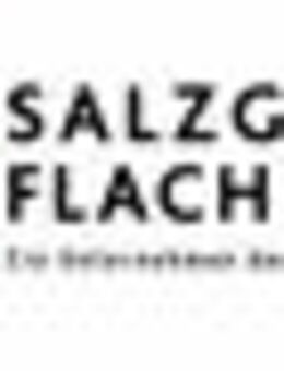 Sachbearbeiter Vertrieb Automobilindustrie (w/m/d) - Salzgitter