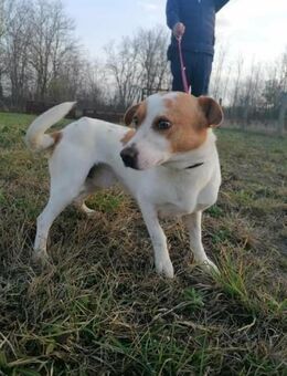 Harley wünscht sich tolle Abenteuer - Nordwalde