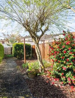 Sommer-Angebot: Modernes Familiendomizil mit 4 Schlafzimmern, 2 Bädern und großem Garten - Alsdorf (Nordrhein-Westfalen)