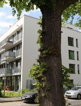 2 Zimmer Wohnung im wunderschönen Brauweg Carreé! - Göttingen