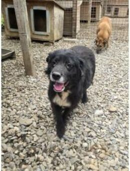 Cristian Pflegestelle oder Zuhause ges - Oberwies