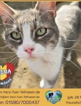 Atena wartet schon so lange!!! - Waakirchen