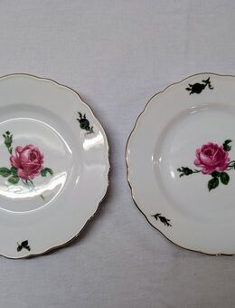 2 Teller Porzellan Teichert Werke Wildrose Rose ⌀ 19 cm - Mendig