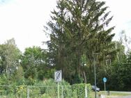 15806 Zossen/OT Dabendorf: Attraktives, baufreies Grundstück unweit der B 96, prov. - Zossen Zentrum