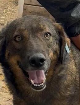 LEROY ~ liebt die Menschen - Duisburg