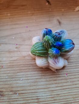 ANGEBOTE candle - Salzgitter