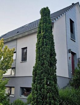Einfamilienhaus zu kaufen in Nittel - A21744 - Nittel