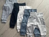 Baby Stoffhosen 5er Pack - Vettelschoß