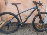 Mountainbike Giant 29 Zoll - Bruckmühl