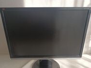 ViewSonic VA1916w-8 mit 19 Zoll LED Monitor-Schwarz - Essen