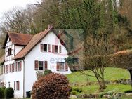 Omas Haus mit Blick auf die Burgruine Neideck neue Eigentümer mit Handwerkergenen - Wiesenttal