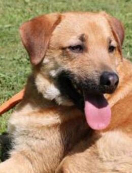 Nero Weil Normal manchmal einfach ... - Kissing