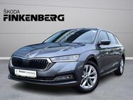 Skoda Octavia, 2.0 TDI Combi Style, Jahr 2024 - Verden (Aller)