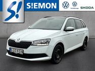 Skoda Fabia, 1.0 TSI Combi, Jahr 2019 - Lengerich (Nordrhein-Westfalen)