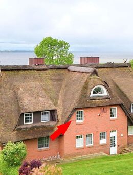 Wohnen unter Reet mit Elbblick! - Brunsbüttel